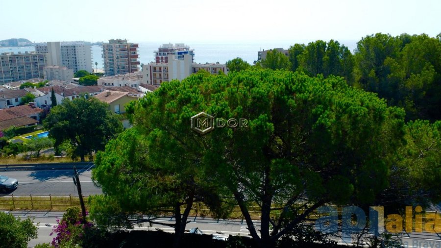 CASA DE NOVA CONSTRUCCIÓ A MAS VILAR - SANT ANTONI DE CALONGE