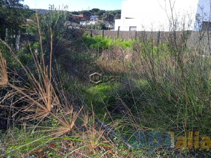 PARCEL-LA A MAS PALLI (CALONGE) COSTA BRAVA