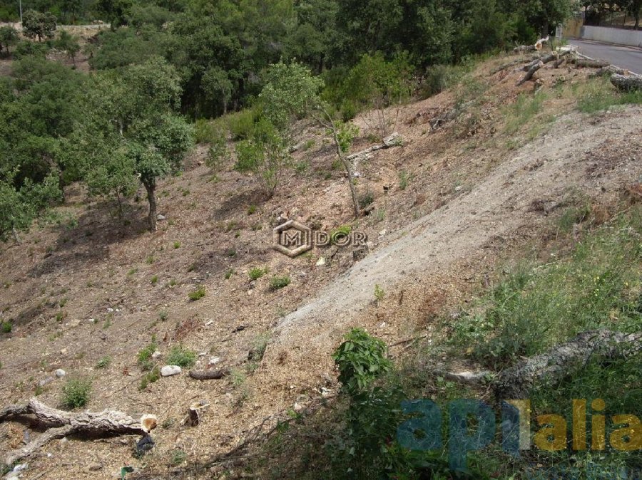 PARCEL-LA A RIO DE ORO (CALONGE)