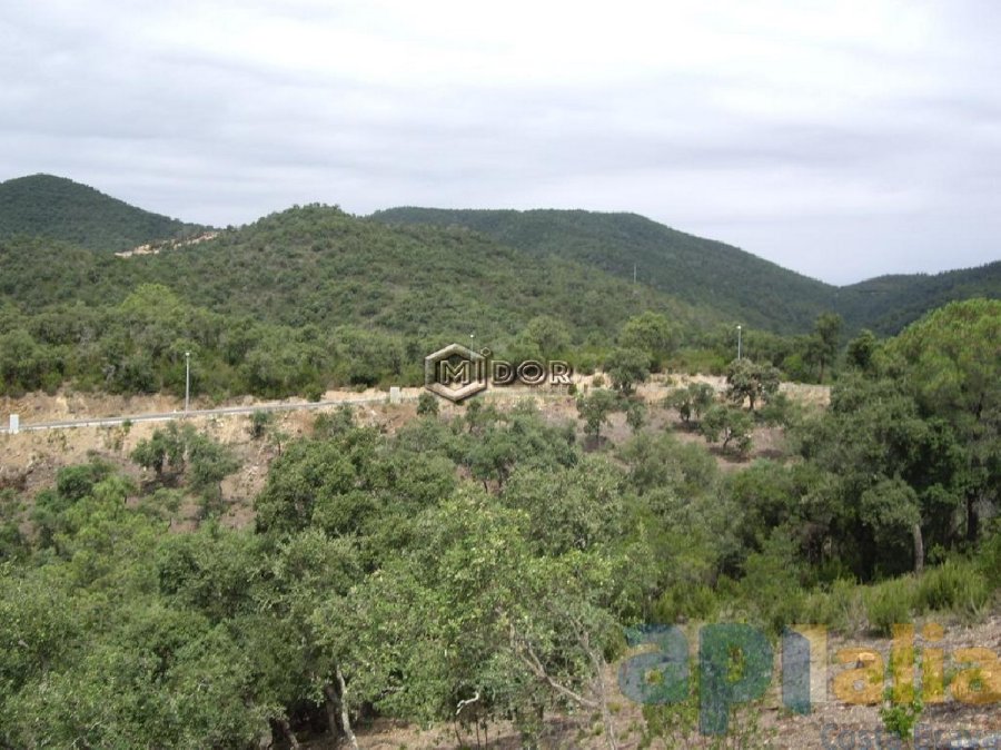 PARCEL-LA A RIO DE ORO (CALONGE)