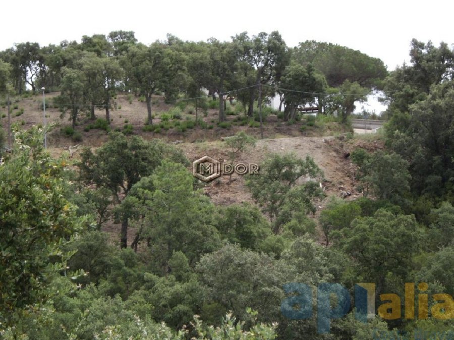 PARCEL-LA A RIO DE ORO (CALONGE)