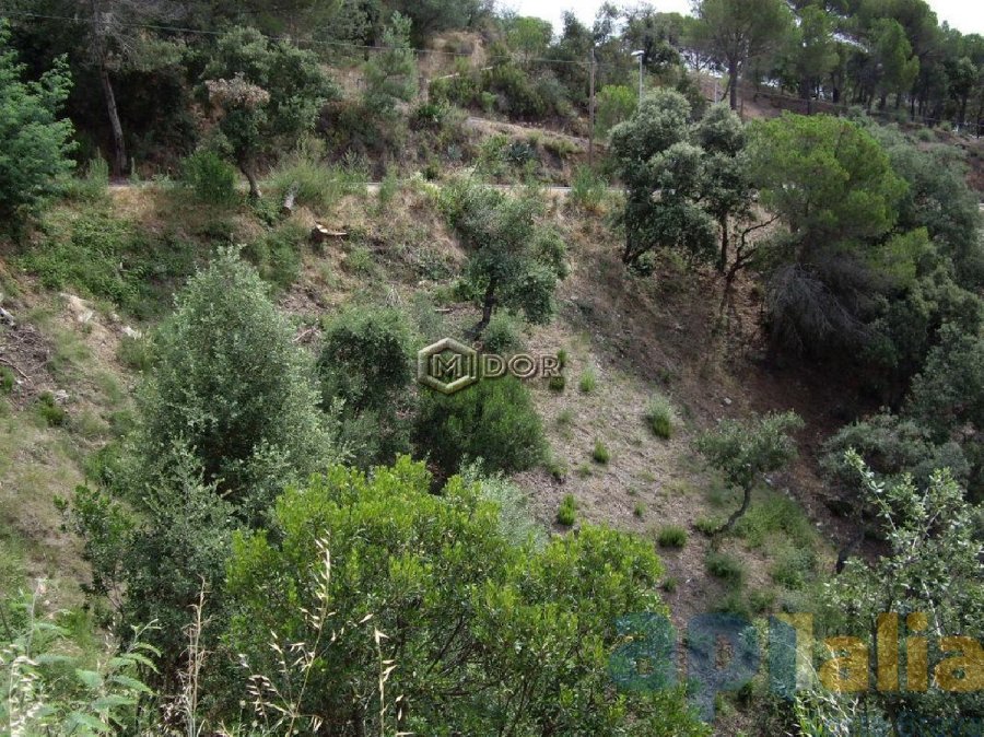 PARCEL-LA A RIO DE ORO (CALONGE)
