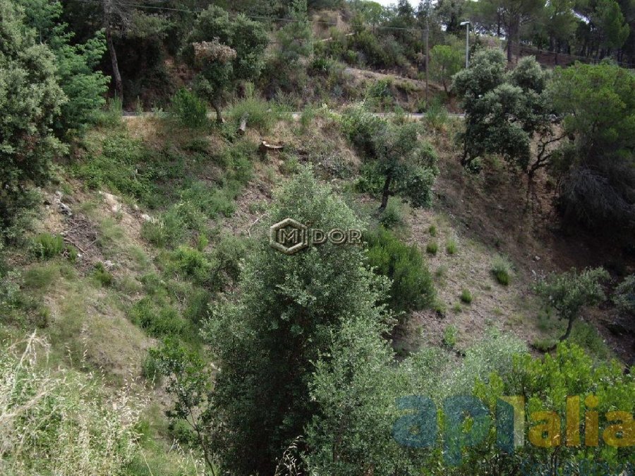 PARCEL-LA A RIO DE ORO (CALONGE)