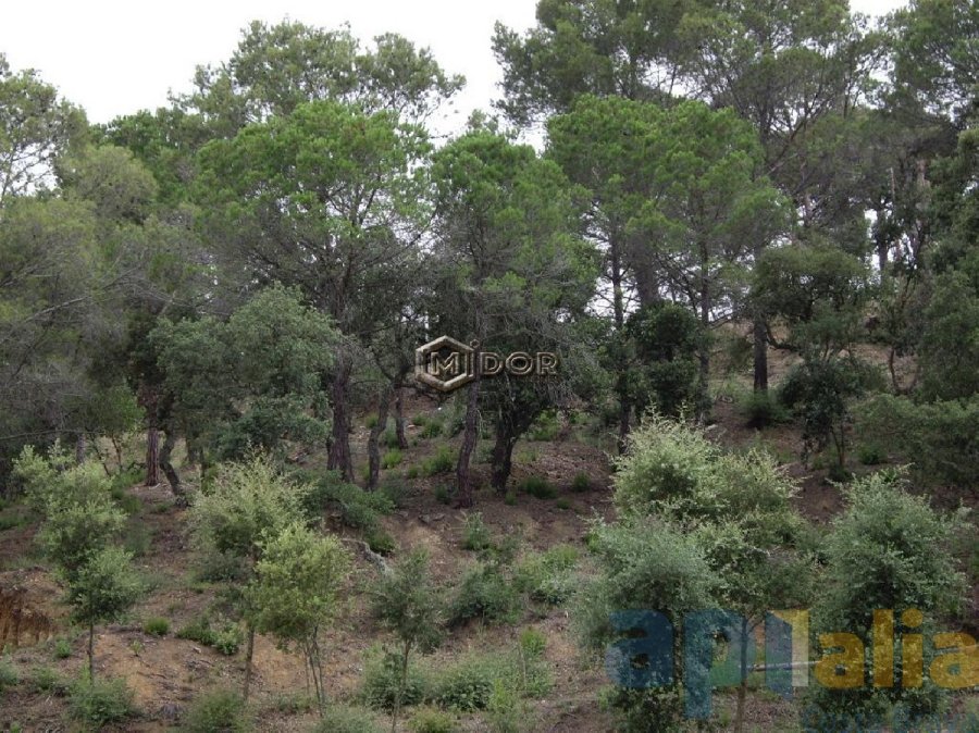 PARCEL-LA A RIO DE ORO (CALONGE)