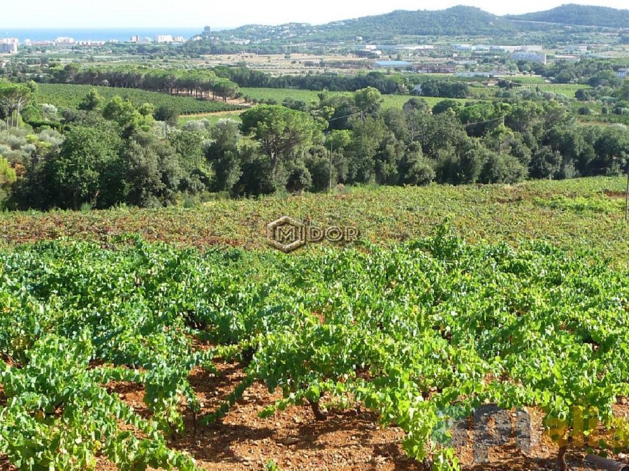 PARCEL-LA EN VENDA A MAS PERE (CALONGE)