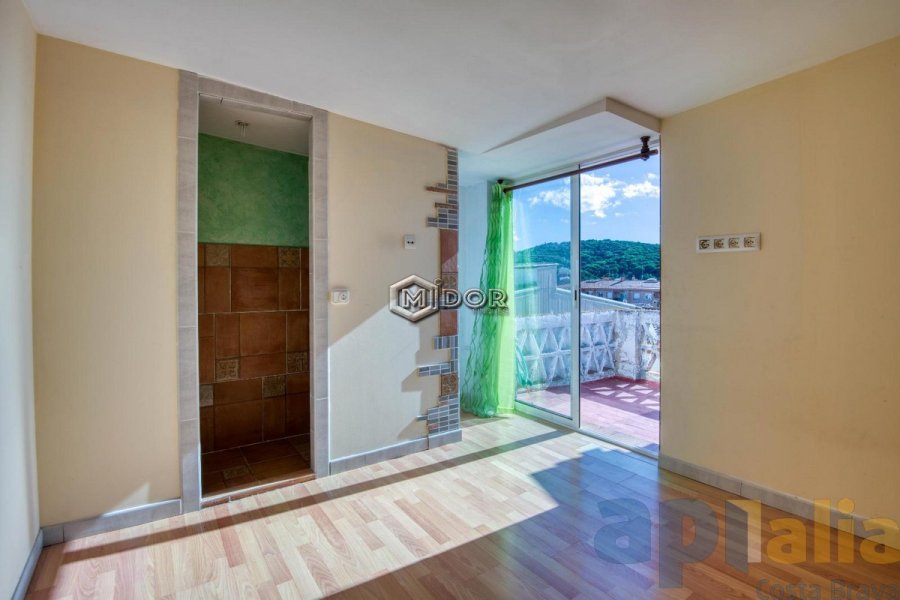 CASA CENTRICA AMB JARDI I GARATGE