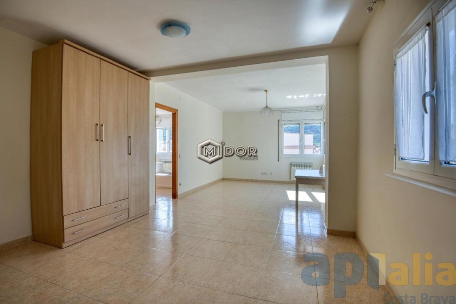 CASA CENTRICA AMB JARDI I GARATGE