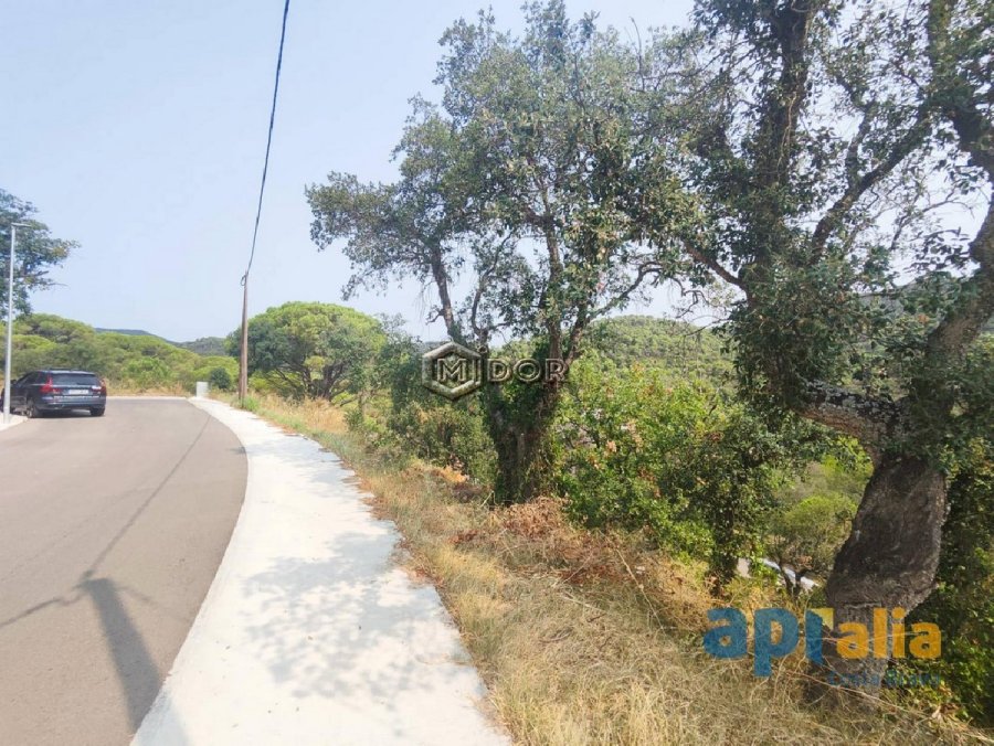 PARCEL.LA DE 756m2 A URB. MAS PERE