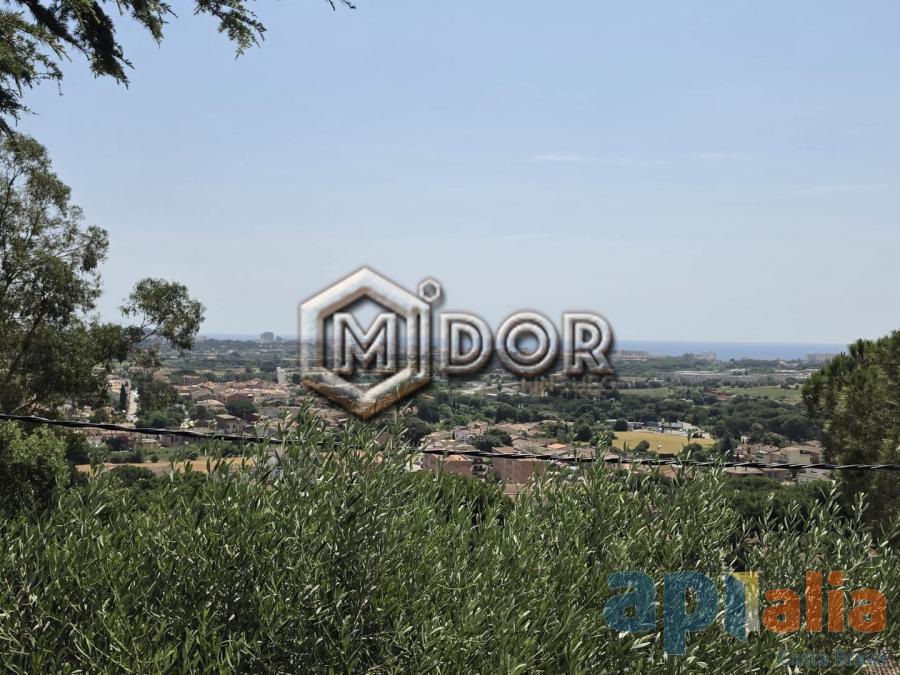PLOT IN MAS AMBRÓS (CALONGE)