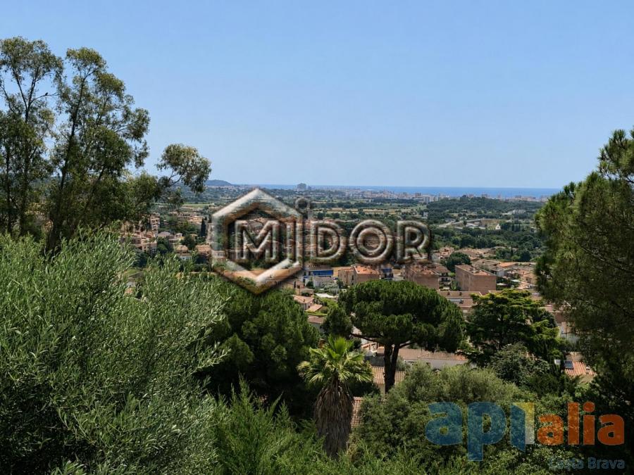 PLOT IN MAS AMBRÓS (CALONGE)