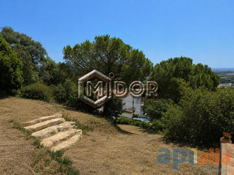 PLOT IN MAS AMBRÓS (CALONGE)