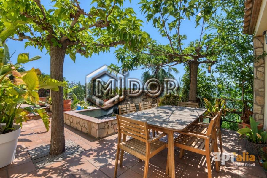 CASA AMB PISCINA A CALONGE