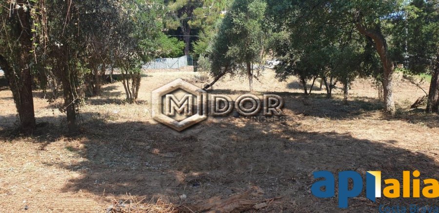 PARCEL.LA EN VENDA A RIO DE ORO - CALONGE