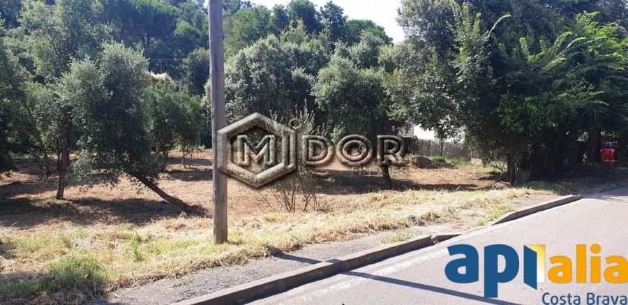 PARCEL.LA EN VENDA A RIO DE ORO - CALONGE